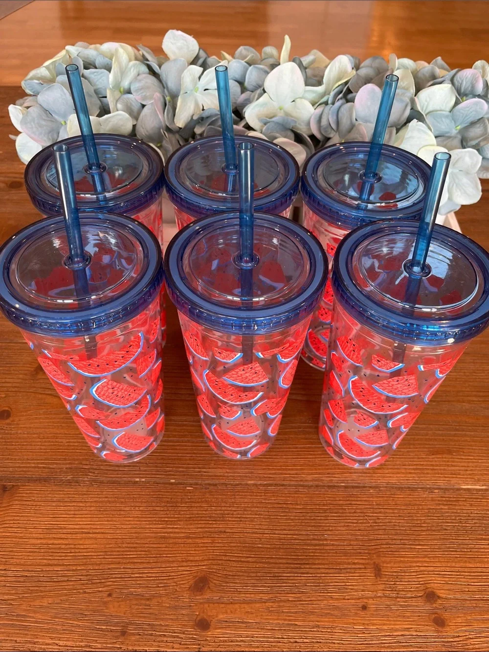 NWT Set of 6 Watermelon Print Tumblers with Blue Lids and Straws